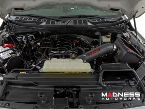 Ford F-150 Performance Cold Air Intake - 5.0L - 2021+